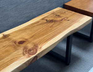 tasmanbench
